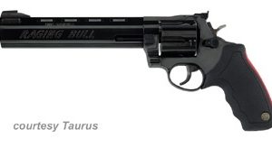 TAURUS MODEL 454 RAGING BULL for sale