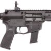 WILSON COMBAT AR9 for sale