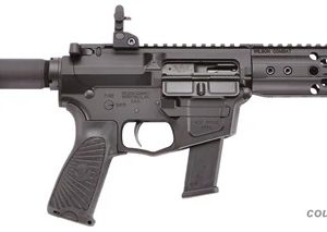 WILSON COMBAT AR9 for sale