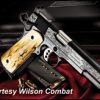 WILSON COMBAT LIMITED TEN SERIES 1 for sale