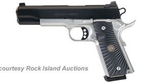 WILSON COMBAT PROTECTOR for sale