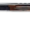 WINCHESTER MODEL 101 FIELD VARIATION for sale