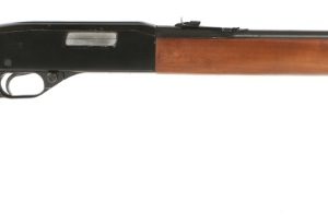 WINCHESTER MODEL 150 for sale