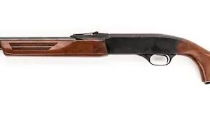 WINCHESTER MODEL 270 for sale