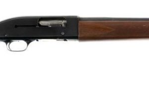 WINCHESTER MODEL 50 SEMI-AUTO for sale