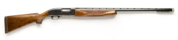 WINCHESTER MODEL 50 SEMI-AUTO PIGEON GRADE for sale