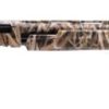 WINCHESTER SXP WATERFOWL HUNTER for sale